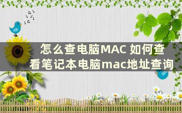 怎么查电脑MAC 如何查看笔记本电脑mac地址查询